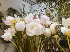 -双季花艺园艺市场(浦东店)