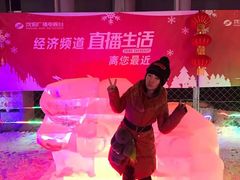 -沈阳奥体冰雪嘉年华