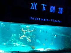 android_upload_pic-泉城欧乐堡海洋极地世界