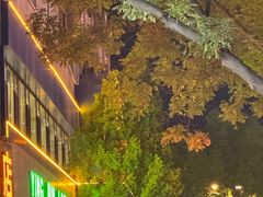 -迎宾楼(解放西街店)