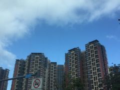 -坂田天虹