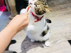 -小时光咖啡馆(开森度假森林店)