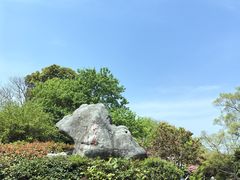 -桃花岛景观公园