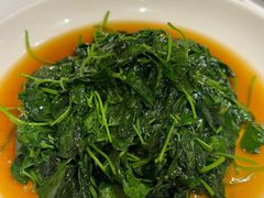 炒菜头-老吉士酒家(天平路店)