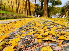 -阳台山自然风景区