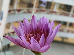 -泰香米泰国餐厅(北城天街店)