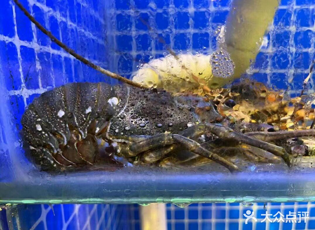 就喜欢这一口、就爱这个味[调皮]