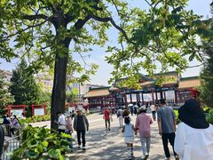 -莲花池公园