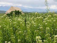 -新疆那拉提国家旅游度假区