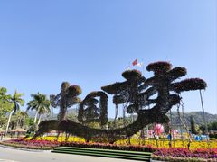 -东南花都花博园