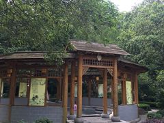 -黄山温泉国际旅游度假区