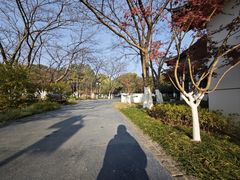 -范蠡湖公园