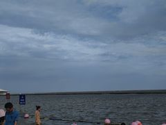 -碧海金沙