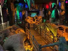 -乐山乌木文化博览苑