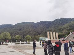 -铁山坪森林公园