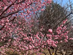 -鹫峰国家森林公园