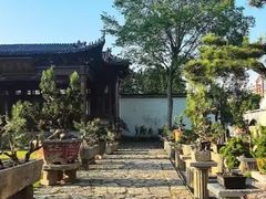 -观唐（国际）度假村温泉