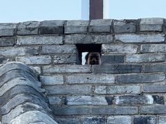 -台州府城(江南长城)