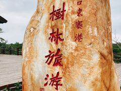 -东寨港红树林旅游区