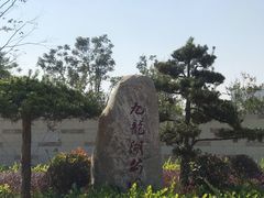 -九龙湖公园