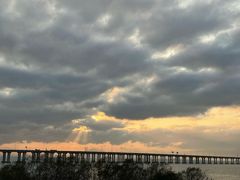 -宝安西湾红树林湿地公园