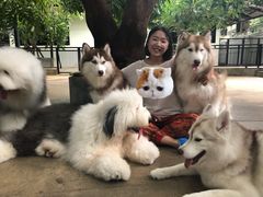 -TrueLove @ Neverland (Husky Cafe)