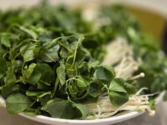 -孔庆璞河豚馆(白玉兰酒店)