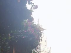 -龙舟池