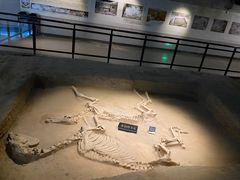 -洛阳周王城天子驾六博物馆