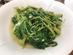 -大金山酒店