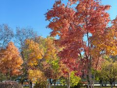 -长春世界雕塑园冰雪艺术天地