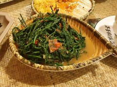 野蕨菜-多哥水傣味餐厅(司马巷店)