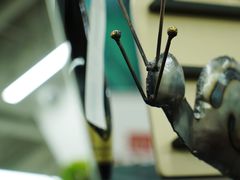 -大视光学•LINDBERG林德伯格•全球手工眼镜集合店(王府井店)