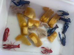 -双季花艺园艺市场(浦东店)