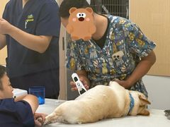 -康成宠物医院24H·CT·核磁共振