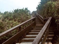 -桃花岛风景旅游区