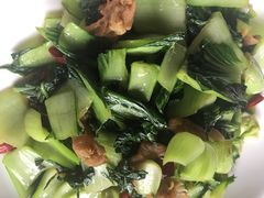 -河畔春天时尚餐厅