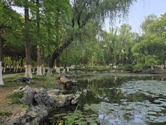 -范蠡湖公园