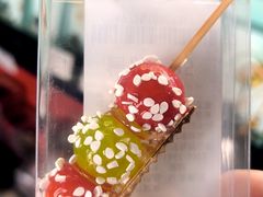 -皇家御河游(紫御湾码头)
