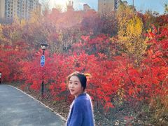 -小绿谷公园