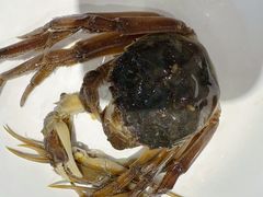 -三阳盛(南京西路店)