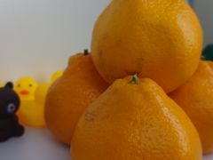 -百果园PAGODA(爱华市场店)