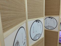 -深圳广和门诊部·整形医疗美容