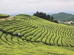 -东白山