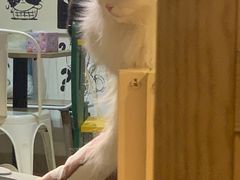 -小时光咖啡馆(开森度假森林店)