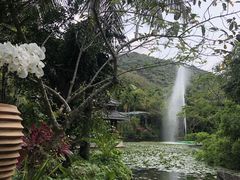 -亚龙湾热带天堂森林公园