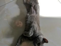 -欧奕国际动物医院