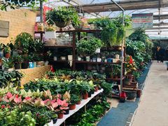 -秦美花卉(天朗·莱茵小城2期店)