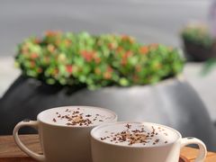 -Peet's Coffee皮爷咖啡(大学路店)