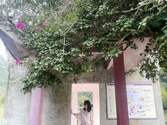 -靖西鹅泉风景区
